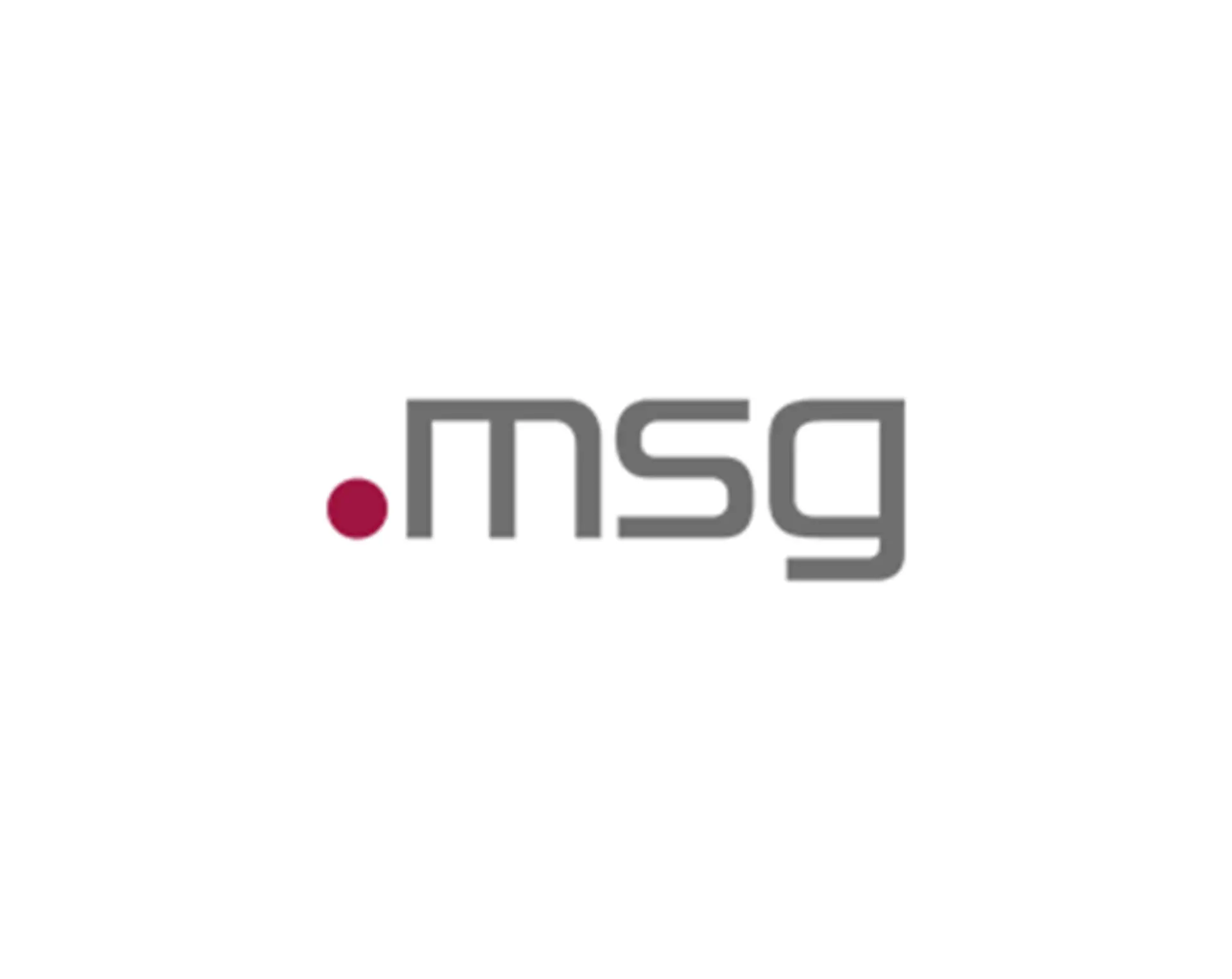 msg logo